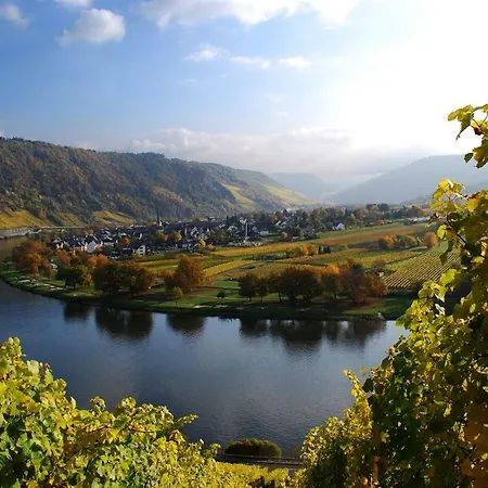 York Garden * Traben-Trarbach