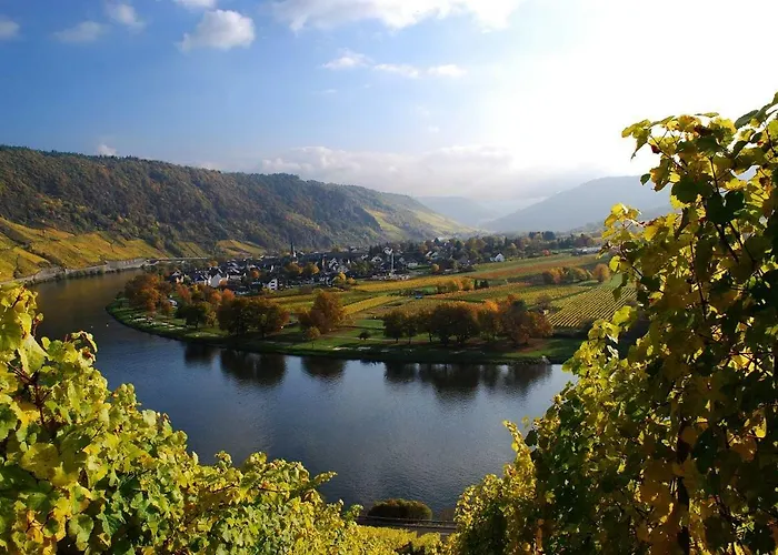 York Garden * Traben-Trarbach